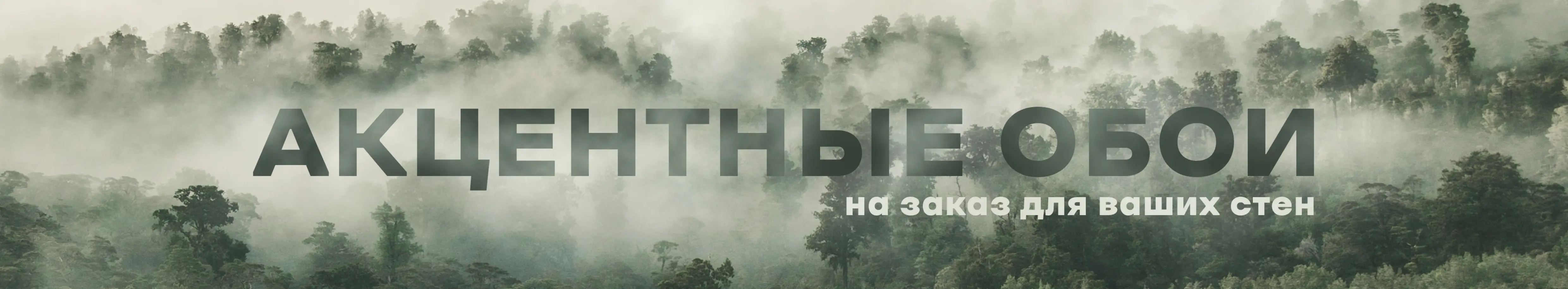 Акцентные обои на заказ для ваших стен