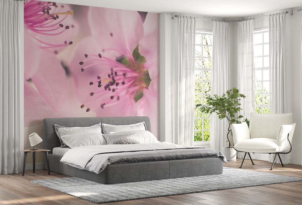 Фотообои и фрески - Цветы сакуры-близкий кадр