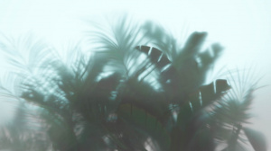 Банановые и тропические листья за стеклом