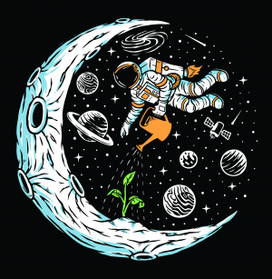 Космический огород