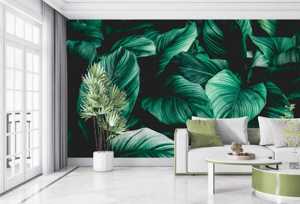 Фотообои и фрески - Банановые листья на темном фоне