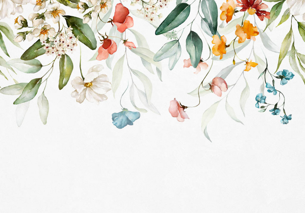 Фотообои и фрески - Яркие акварельные цветы на белом фоне